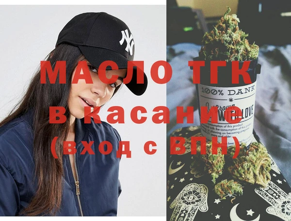 индика Осинники