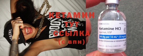 индика Осинники