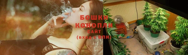 спиды Осташков