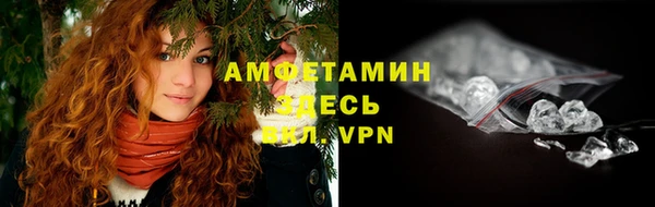 индика Осинники