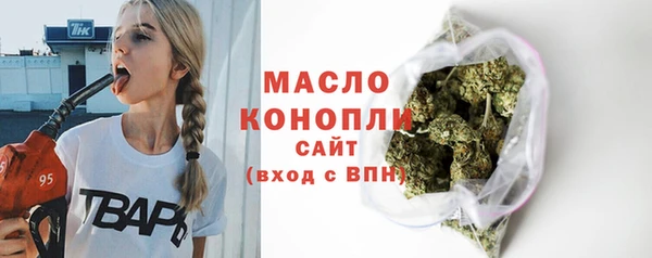 индика Осинники