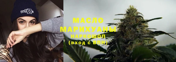 индика Осинники