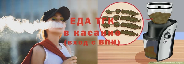 индика Осинники