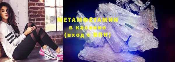 индика Осинники