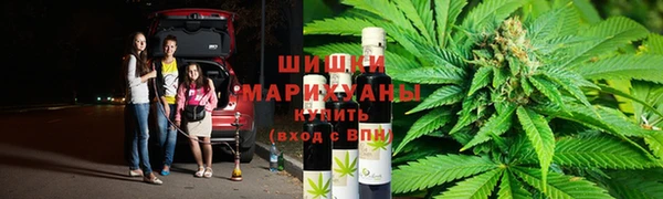 первитин Няндома